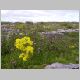 irland- 099.jpg